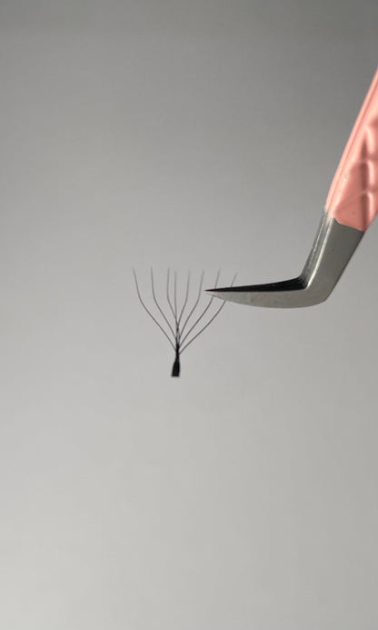 Extension ciglia 8D